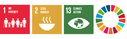 UN Sustainable Development Goals